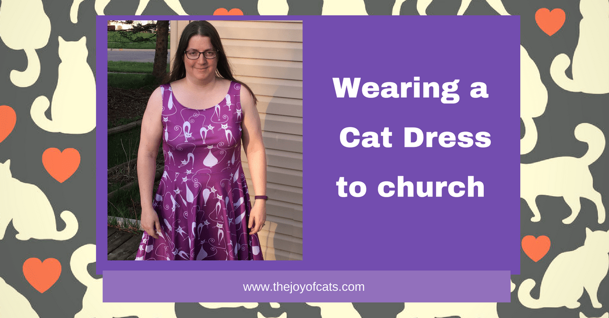 V-NECK RING FRONT COVER UP DRESS CAT WORSHIP