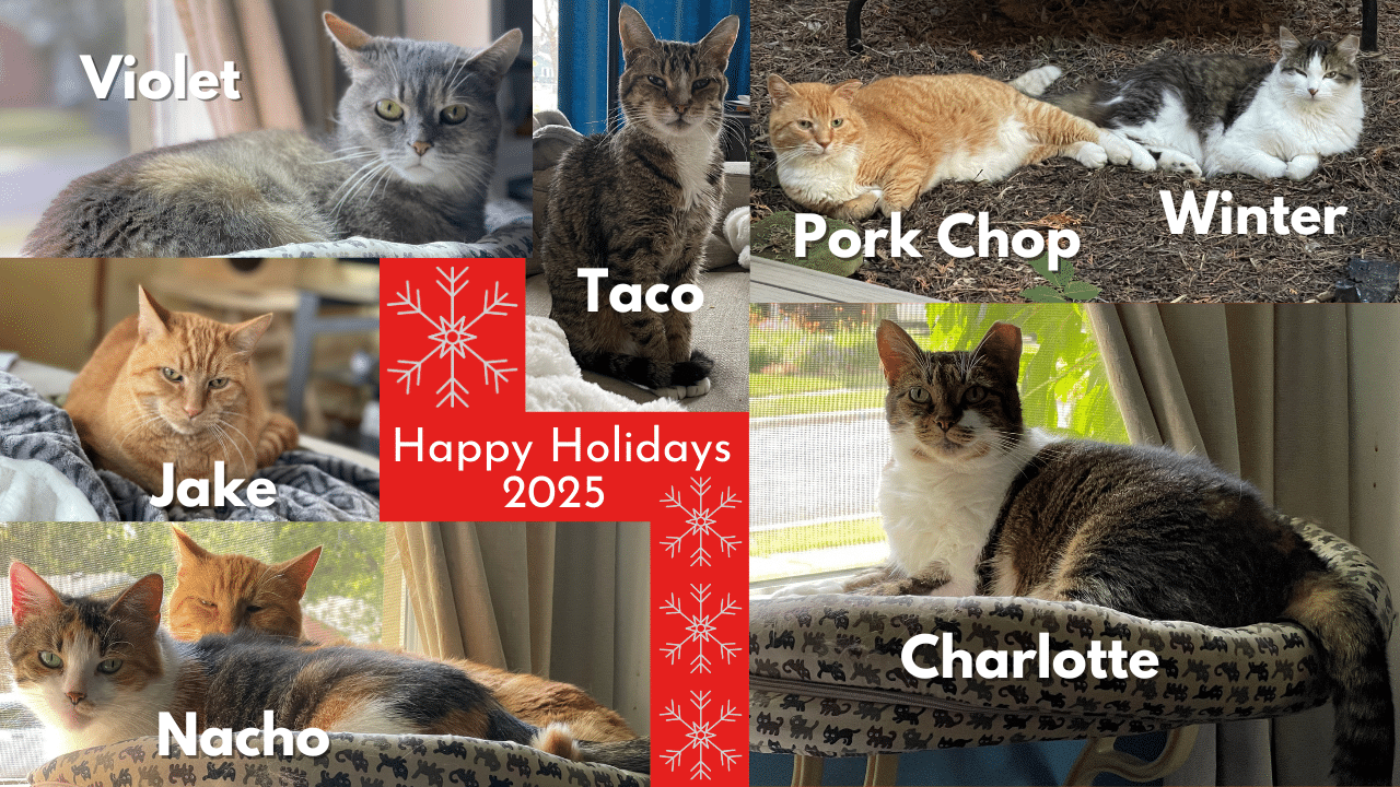 collage photo card with 7 cats . text reads "Happy Holidays 2025"