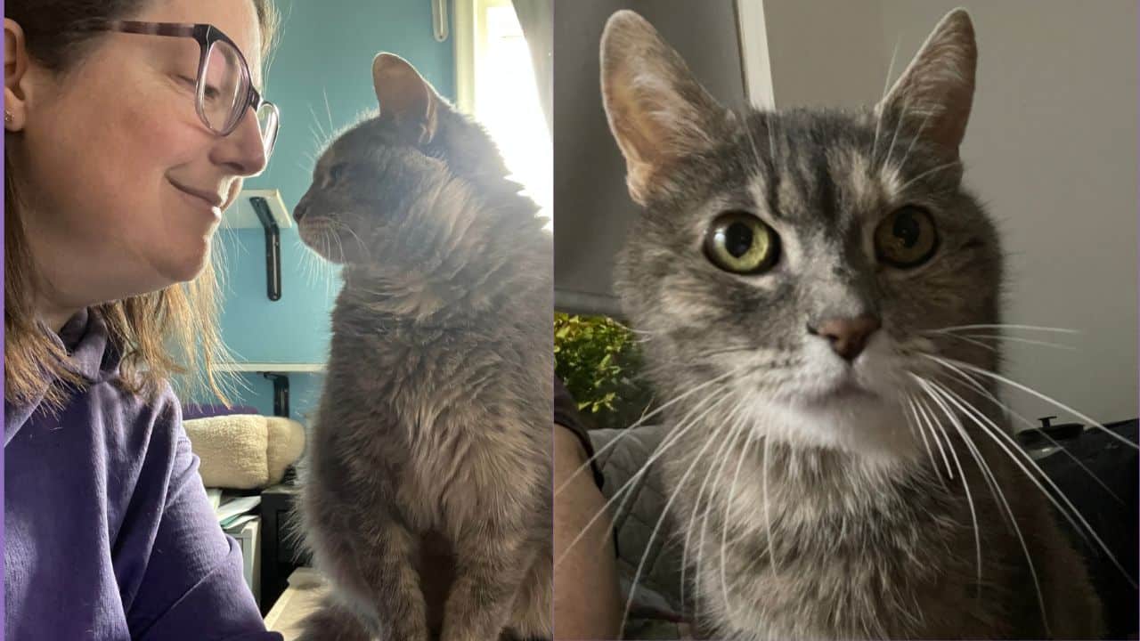 On left, Heidi looking at her cat Violet. On right, Violet looking at camera.